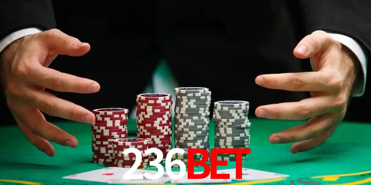 236BET App