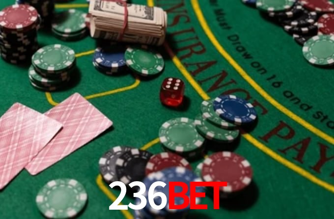 236BET App Interface