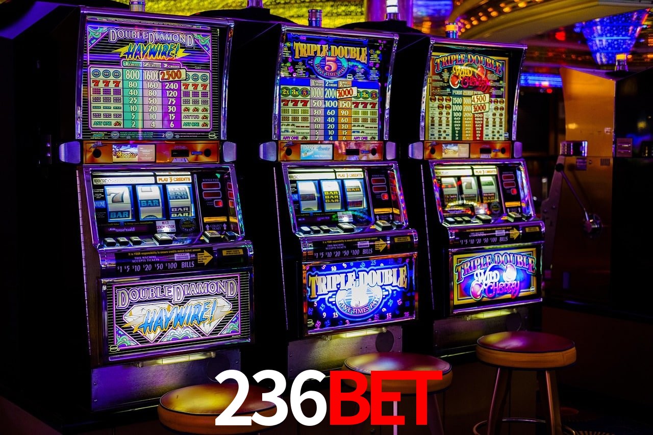 Apostas de Futebol 236BET